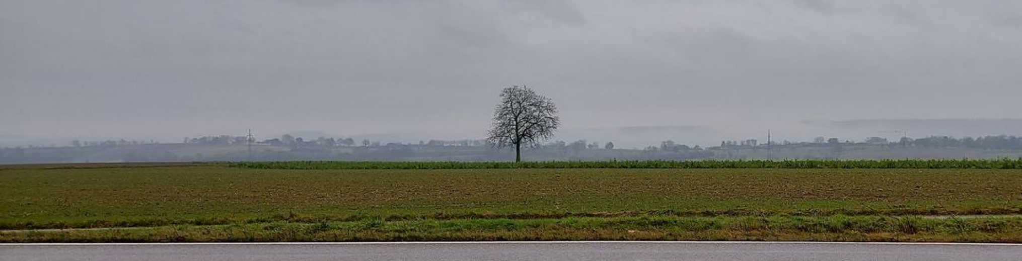 Schwäbischer Albverein | Ortsgruppe Bönnigheim
