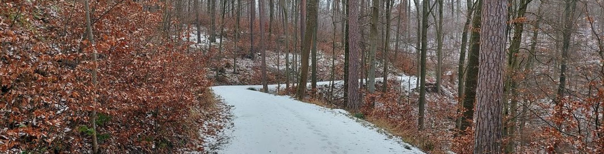 Schwäbischer Albverein | Ortsgruppe Bönnigheim