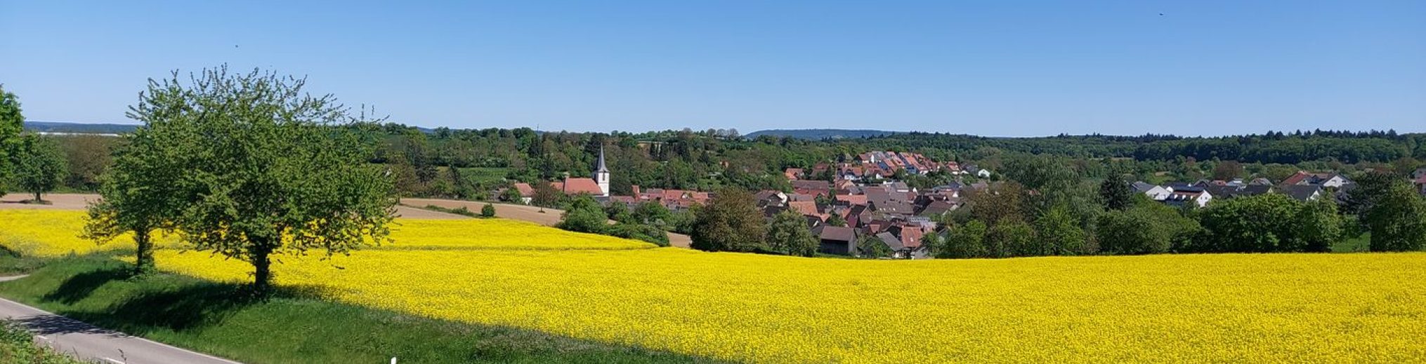 Schwäbischer Albverein | Ortsgruppe Bönnigheim